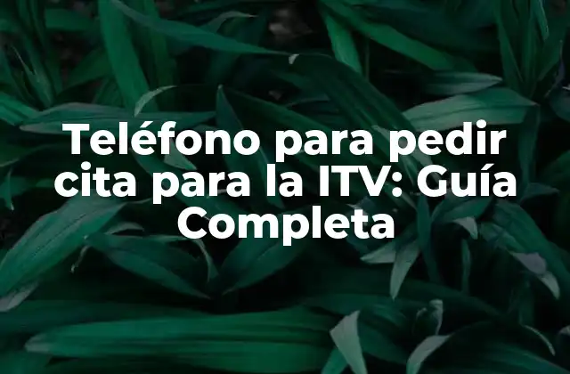 Teléfono para Pedir Cita para la Itv: Guía Completa