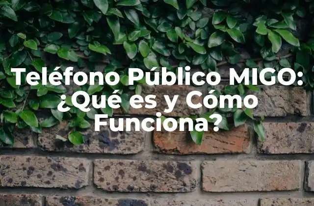 Teléfono Público Migo: ¿qué es y Cómo Funciona?