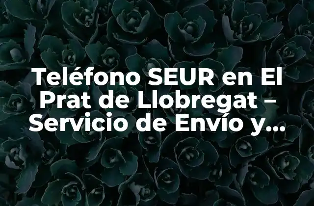 Teléfono Seur en el Prat de Llobregat – Servicio de Envío y Logística