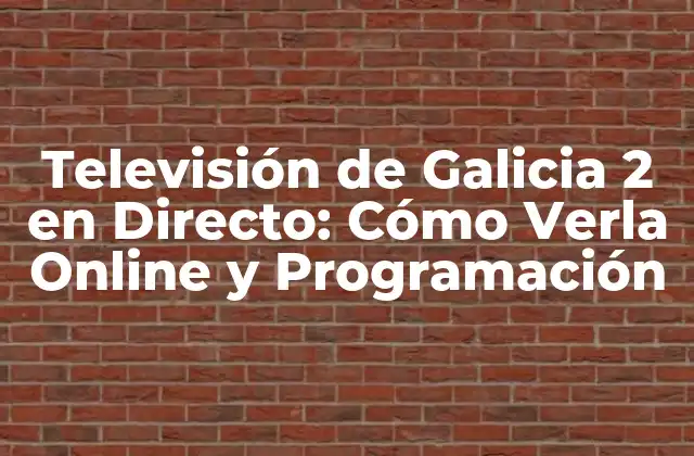 Historia de la Televisión de Galicia 2