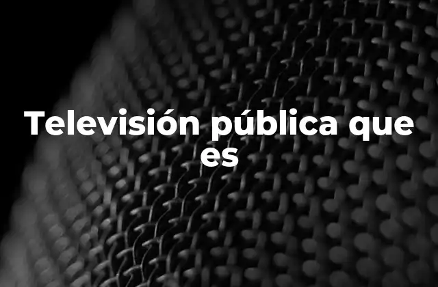 Televisión Pública que es