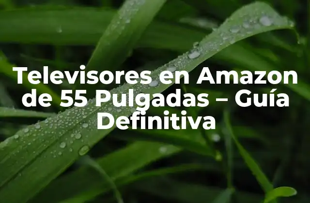 Televisores en Amazon de 55 Pulgadas - Guía Definitiva 2 ¿Por qué elegir un televisor de 55 pulgadas en Amazon?