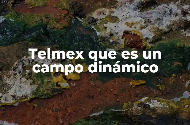 Telmex que es un Campo Dinámico 2 La evolución de Telmex en un entorno en constante cambio