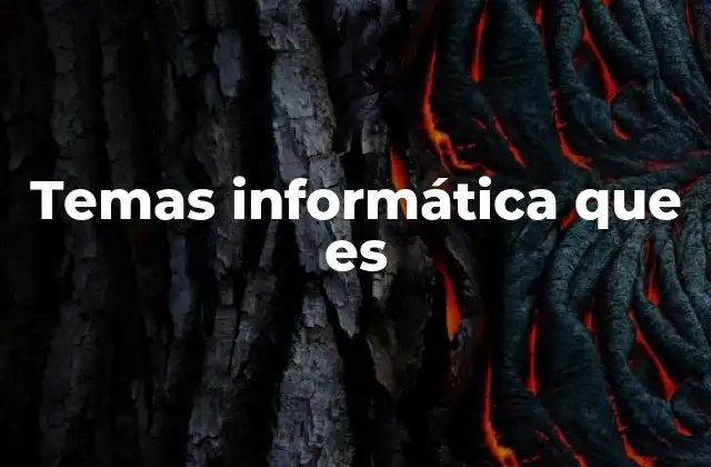 Temas Informática que es