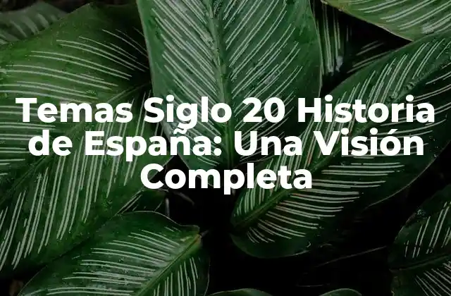 Temas Siglo 20 Historia de España: una Visión Completa