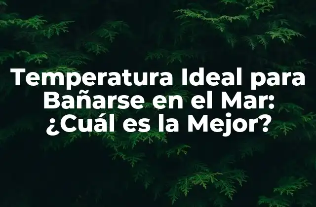 Temperatura Ideal para Bañarse en el Mar: ¿cuál es la Mejor?