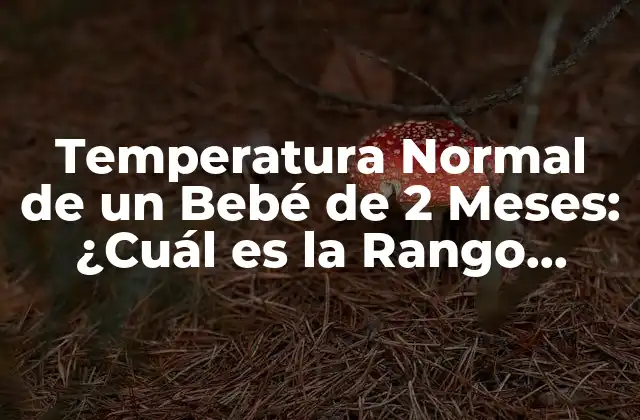 Temperatura Normal de un Bebé de 2 Meses: ¿cuál es la Rango Ideal?