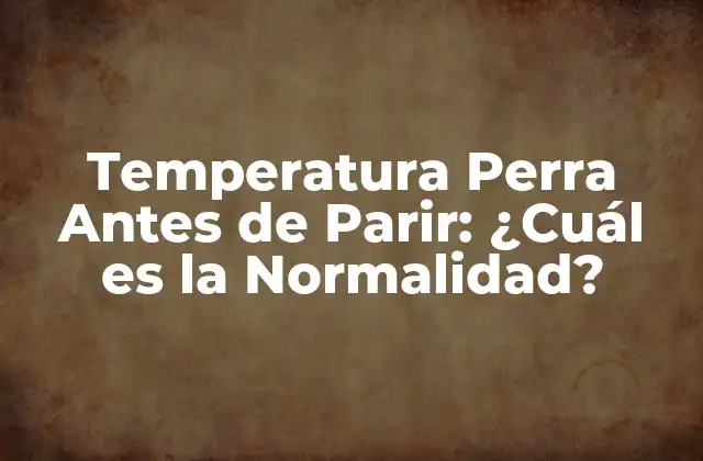Temperatura Perra Antes de Parir: ¿cuál es la Normalidad? 2 ¿Cuál es la Temperatura Normal de una Perra Embarazada?