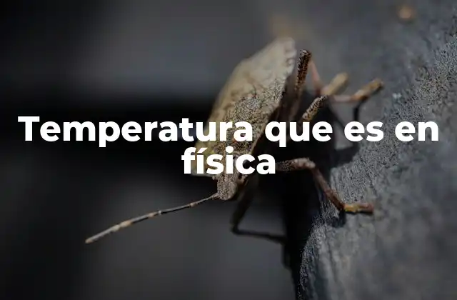 Temperatura que es en Física