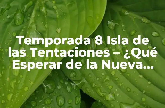 Temporada 8 Isla de las Tentaciones - ¿qué Esperar de la Nueva Edición? 2 Nuevos Participantes en la Temporada 8 de Isla de las Tentaciones