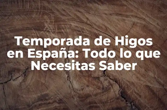 Temporada de Higos en España: Todo Lo que Necesitas Saber
