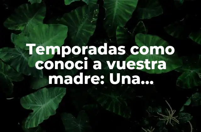Temporadas como Conoci a Vuestra Madre: una Retrospectiva de la Serie de Tv