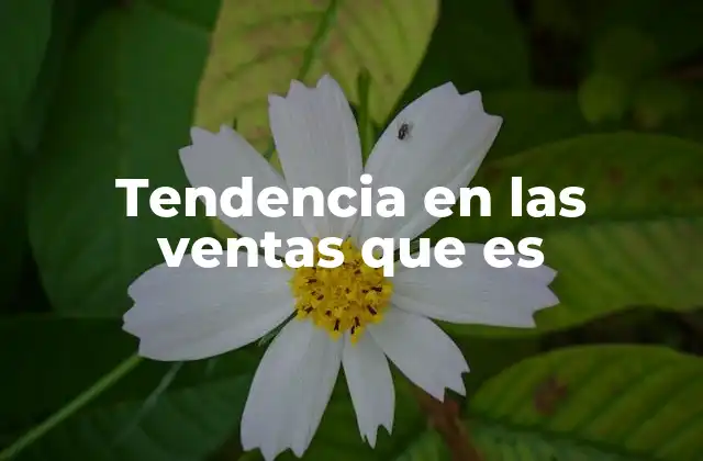 Tendencia en las Ventas que es 2 Factores que influyen en las tendencias de ventas