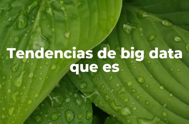 Tendencias de Big Data que es