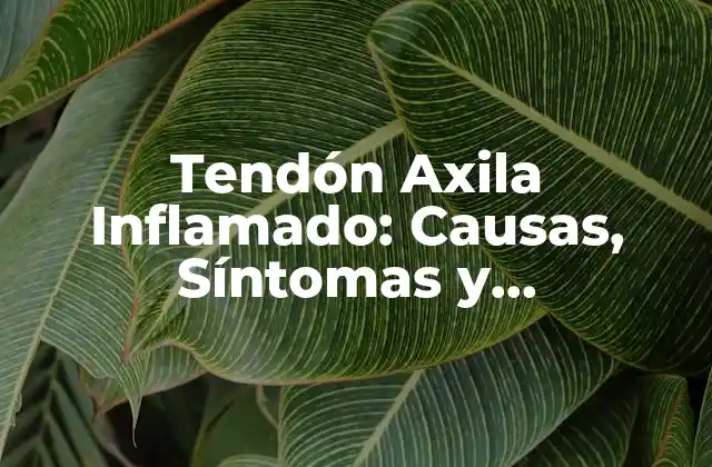 Tendón Axila Inflamado: Causas, Síntomas y Tratamiento