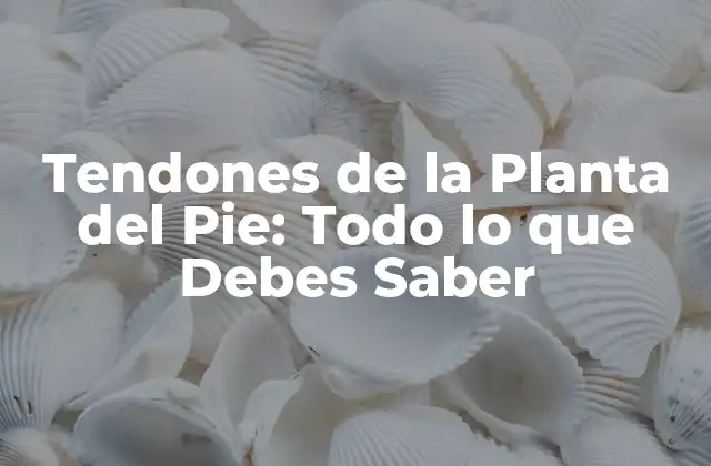 Tendones de la Planta Del Pie: Todo Lo que Debes Saber