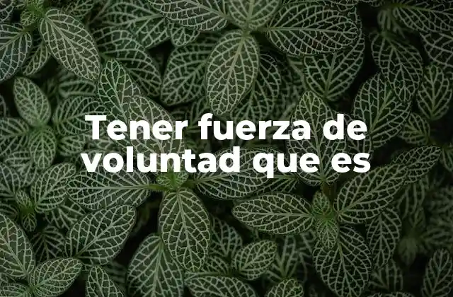 Tener Fuerza de Voluntad que es
