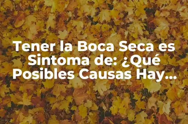 Tener la Boca Seca es Sintoma De: ¿qué Posibles Causas Hay Detrás?