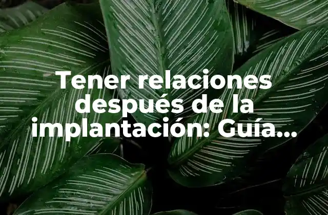 Tener Relaciones Después de la Implantación: Guía Completa