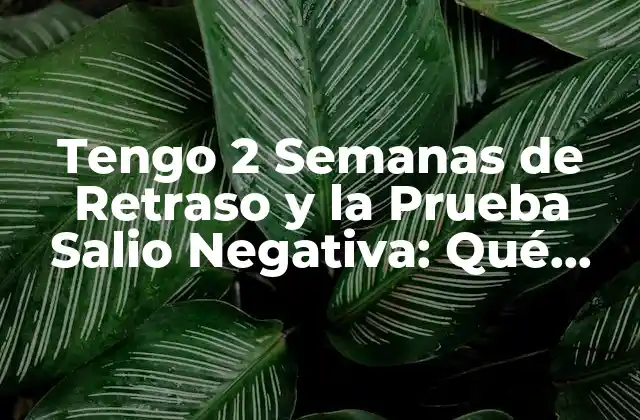 Tengo 2 Semanas de Retraso y la Prueba Salio Negativa: Qué Significa y Qué Debo Hacer