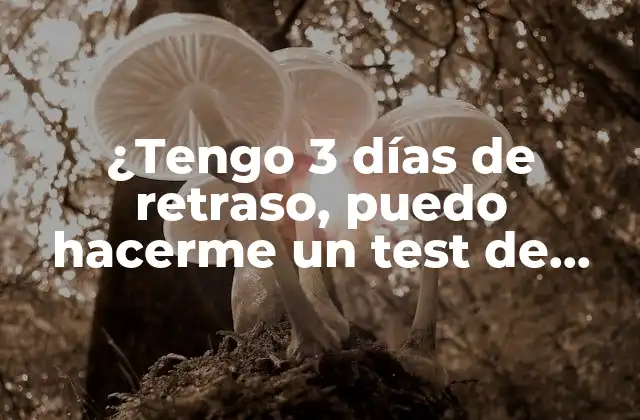 ¿tengo 3 Días de Retraso, Puedo Hacerme un Test de Embarazo?