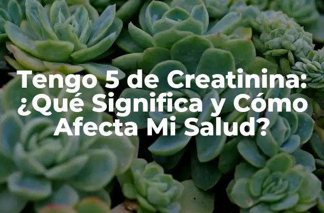 Tengo 5 de Creatinina: ¿qué Significa y Cómo Afecta Mi Salud?