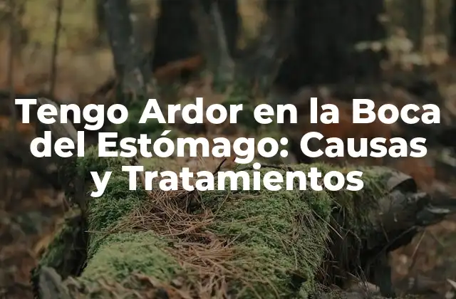 Tengo Ardor en la Boca Del Estómago: Causas y Tratamientos