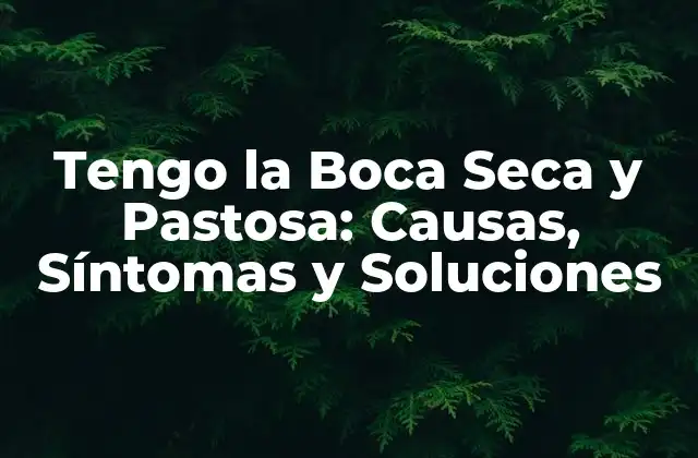 Tengo la Boca Seca y Pastosa: Causas, Síntomas y Soluciones