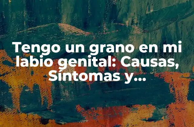 Tengo un Grano en Mi Labio Genital: Causas, Síntomas y Tratamiento