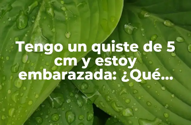 Tengo un Quiste de 5 Cm y Estoy Embarazada: ¿qué Debo Hacer?