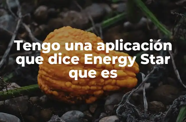 Tengo una Aplicación que Dice Energy Star que es