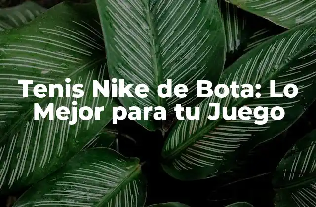 Tenis Nike de Bota: Lo Mejor para Tu Juego
