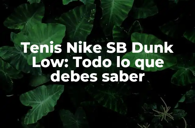 Tenis Nike Sb Dunk Low: Todo Lo que Debes Saber