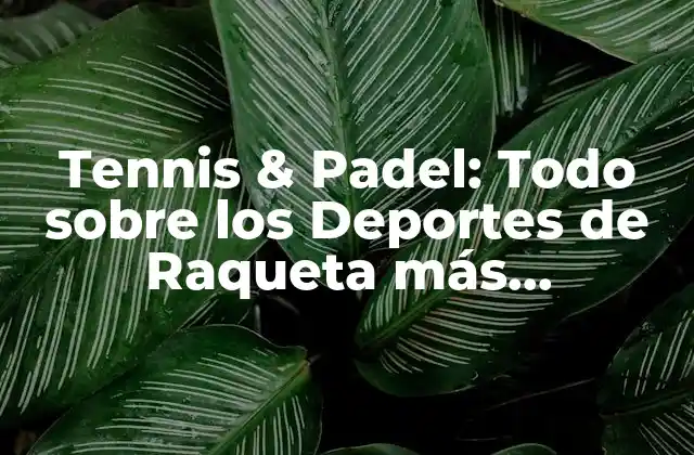 Tennis & Padel: Todo sobre los Deportes de Raqueta Más Populares