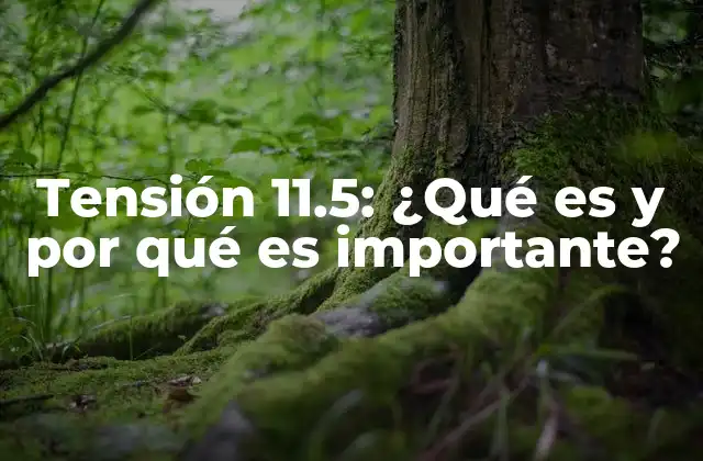 Tensión 11.5: ¿qué es y por Qué es Importante?