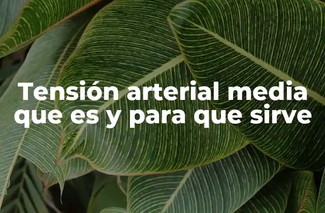 Tensión Arterial Media que es y para que Sirve