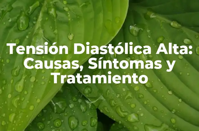 Tensión Diastólica Alta: Causas, Síntomas y Tratamiento 2 ¿Qué es la Tensión Diastólica Alta?