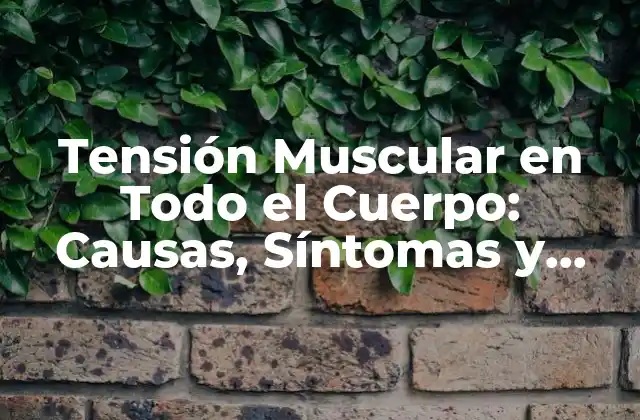 Tensión Muscular en Todo el Cuerpo: Causas, Síntomas y Tratamientos
