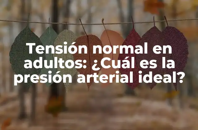 Tensión Normal en Adultos: ¿cuál es la Presión Arterial Ideal?
