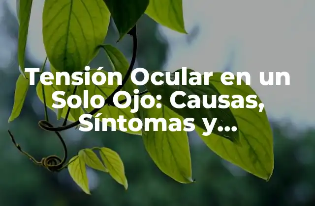 Tensión Ocular en un Solo Ojo: Causas, Síntomas y Tratamientos