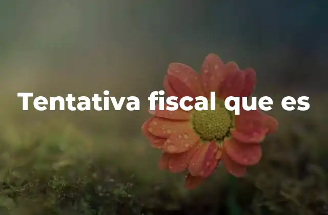 Tentativa Fiscal que es