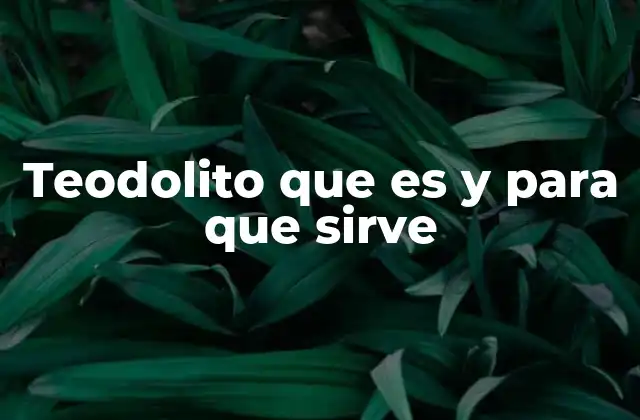 Teodolito que es y para que Sirve