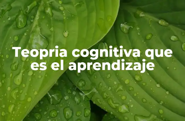 Teopria Cognitiva que es el Aprendizaje