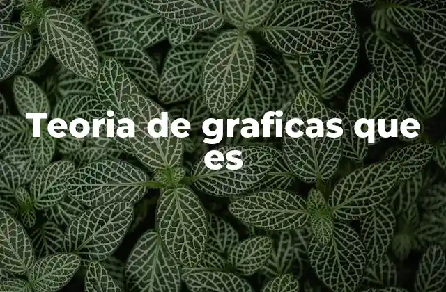 Teoria de Graficas que es