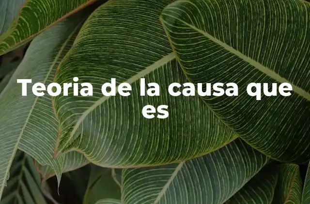 Cómo se aplica la teoría de la causalidad en la vida cotidiana