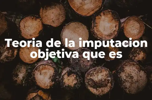 Teoria de la Imputacion Objetiva que es