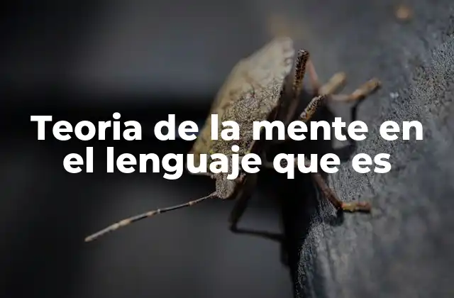 Teoria de la Mente en el Lenguaje que es