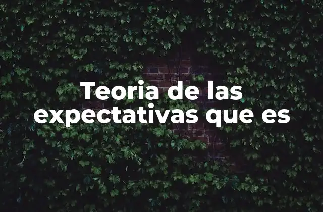 Teoria de las Expectativas que es