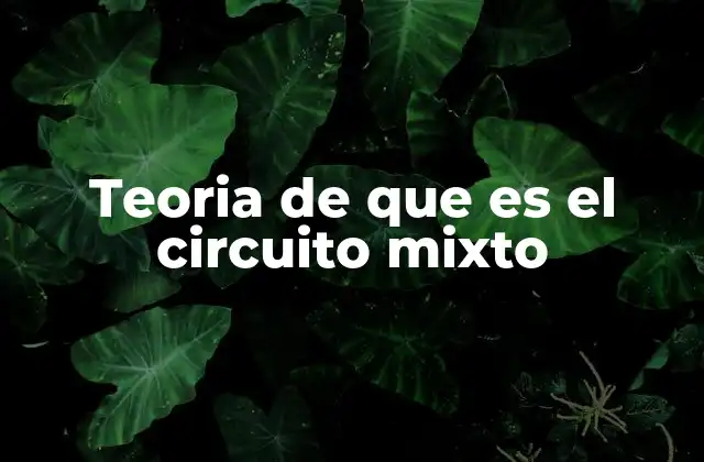 Teoria de que es el Circuito Mixto
