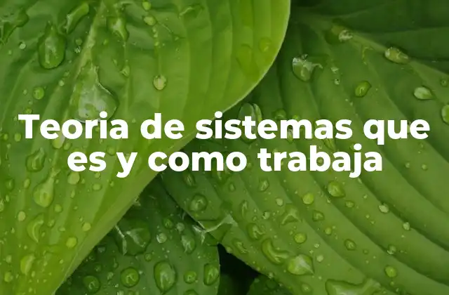 Teoria de Sistemas que es y como Trabaja